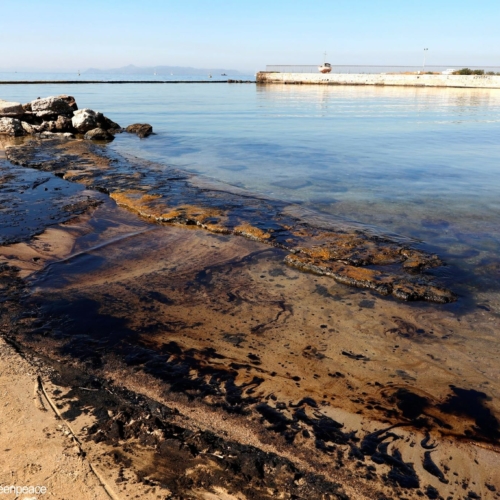 Πρόσκληση Εθελοντών για τον καθαρισμό του παράκτιου μετώπου της Αττικής από το πετρέλαιο