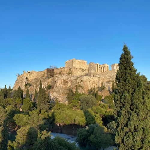 Πρόσκληση για την χαρτογράφηση των δένδρων της Αθήνας από τη ΔΑΕΜ