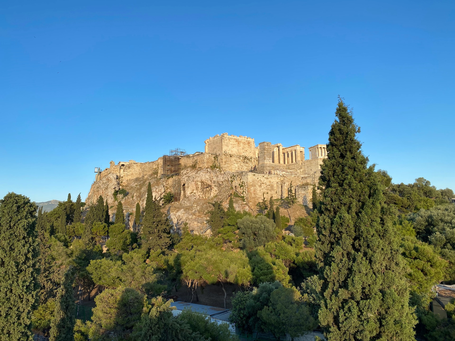 Πρόσκληση για την χαρτογράφηση των δένδρων της Αθήνας από τη ΔΑΕΜ