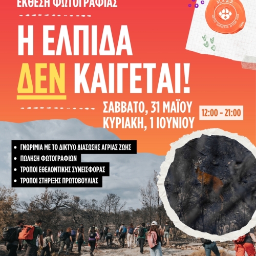 Η Ελπίδα ΔΕΝ καίγεται.